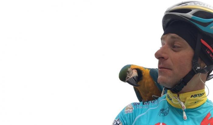 Tre anni fa ci lasciava l'Aquila di Filottrano, Michele Scarponi Tre anni fa ci lasciava l'Aquila di Filottrano, Michele Scarponi